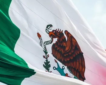 The Global Protest to Fight Inequality in Mexico